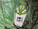  9月:高山彦九郎の松